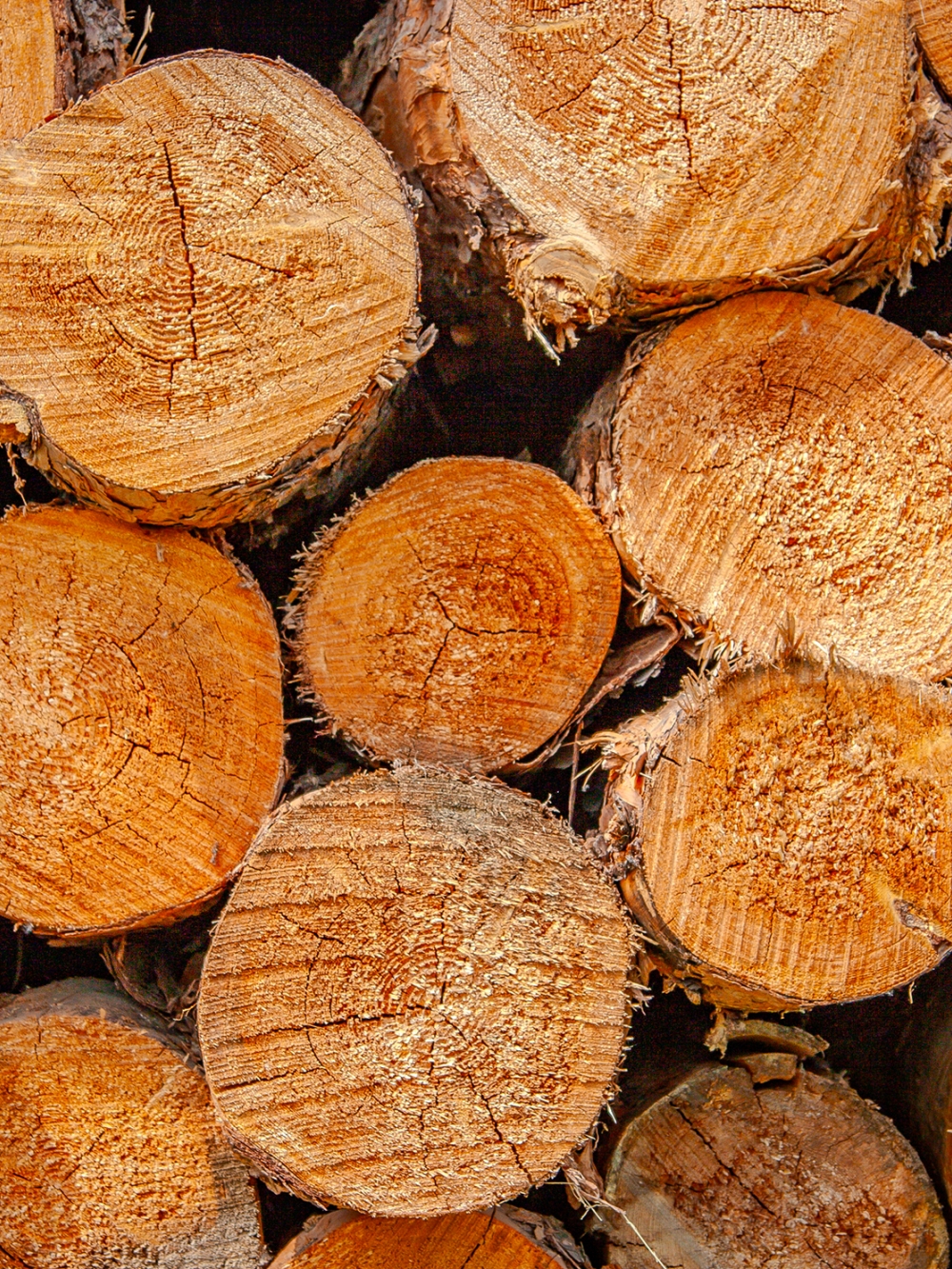 Billots de bois d'oeuvre