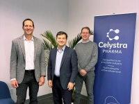 Membres de l'équipe de Celystra